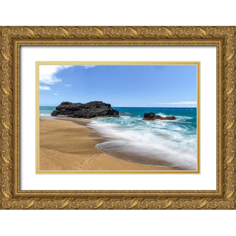 Silky Surf III Gold Ornate Wood Framed Art Print with Double Matting by Head, Danny