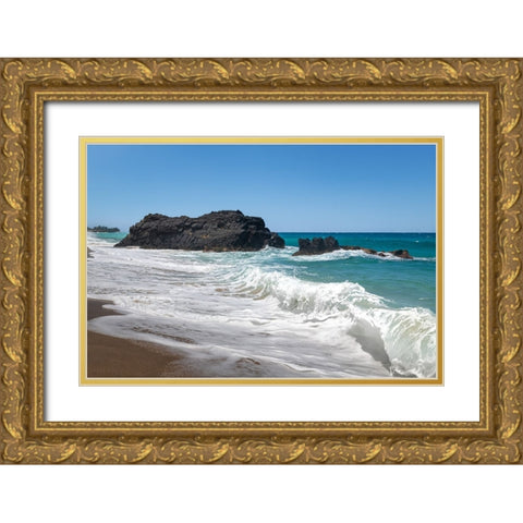 Beaking Surf I Gold Ornate Wood Framed Art Print with Double Matting by Head, Danny