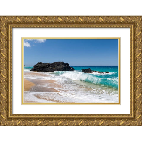 Breaking Surf II Gold Ornate Wood Framed Art Print with Double Matting by Head, Danny