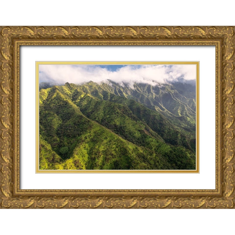 Na Pali Green Gold Ornate Wood Framed Art Print with Double Matting by Head, Danny
