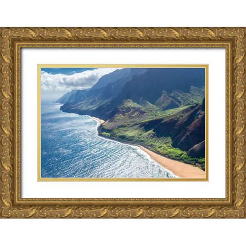 Paradise Gold Ornate Wood Framed Art Print with Double Matting by Head, Danny