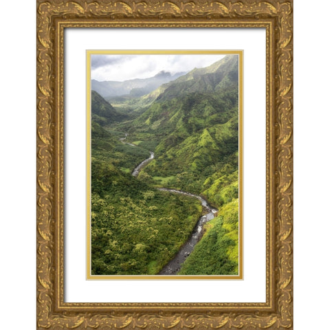 Hanalei Valley I Gold Ornate Wood Framed Art Print with Double Matting by Head, Danny