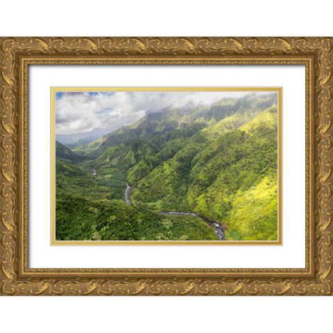 Hanalei Valley II Gold Ornate Wood Framed Art Print with Double Matting by Head, Danny