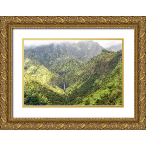 Tropical Valley Gold Ornate Wood Framed Art Print with Double Matting by Head, Danny