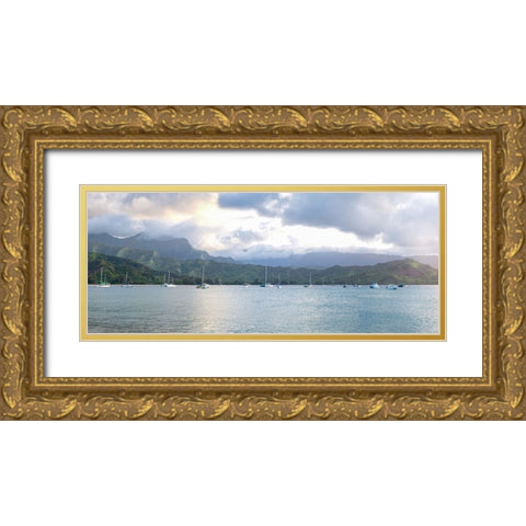 Hanalei Pano I Gold Ornate Wood Framed Art Print with Double Matting by Head, Danny