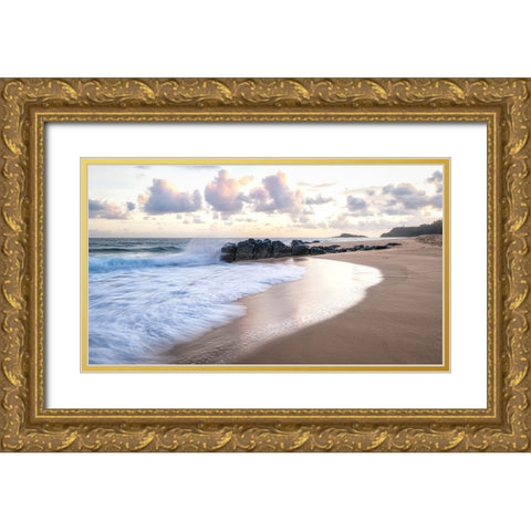 Secret Beach V Gold Ornate Wood Framed Art Print with Double Matting by Head, Danny