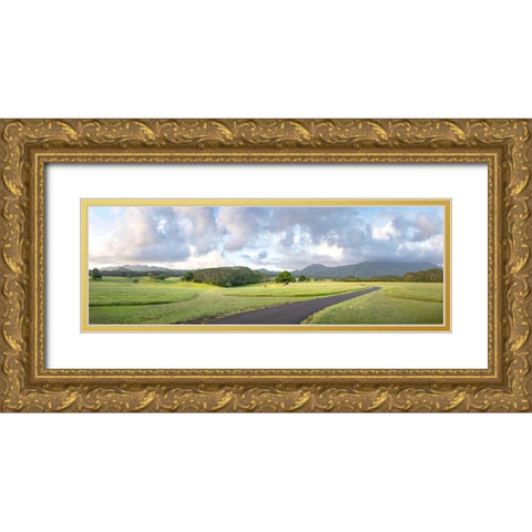 Jarassic Ranch Pano Gold Ornate Wood Framed Art Print with Double Matting by Head, Danny