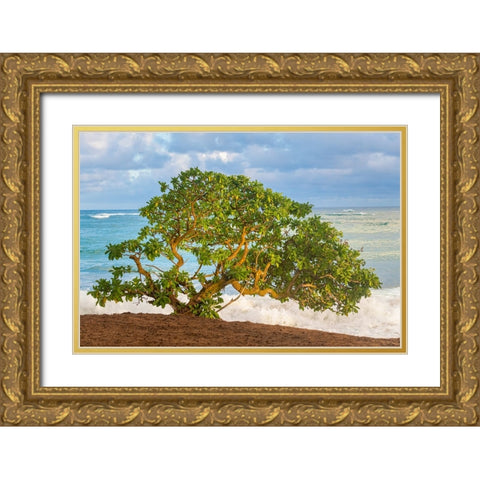 Beachside Tree Gold Ornate Wood Framed Art Print with Double Matting by Head, Danny