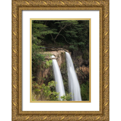 Wailua Falls Gold Ornate Wood Framed Art Print with Double Matting by Head, Danny