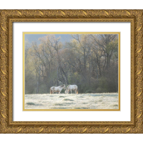 Morning Graze Gold Ornate Wood Framed Art Print with Double Matting by Head, Danny