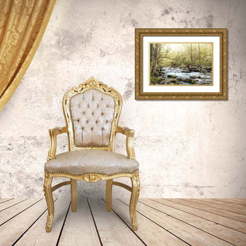 Bliss Gold Ornate Wood Framed Art Print with Double Matting by Head, Danny
