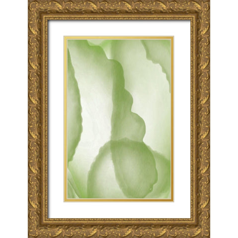 Green Paper Two Gold Ornate Wood Framed Art Print with Double Matting by Aesthete