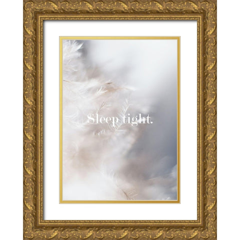 Sleep Tight Feathers Gold Ornate Wood Framed Art Print with Double Matting by Mi, Suki