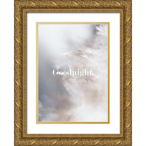 Goodnight Feathers Gold Ornate Wood Framed Art Print with Double Matting by Mi, Suki