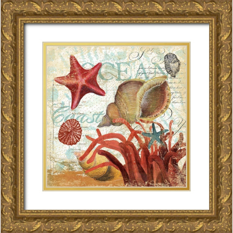Shell Collector 1I Gold Ornate Wood Framed Art Print with Double Matting by Art Licensing Studio