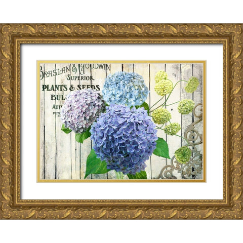 Farm Seed Hydrangeas Gold Ornate Wood Framed Art Print with Double Matting by Art Licensing Studio