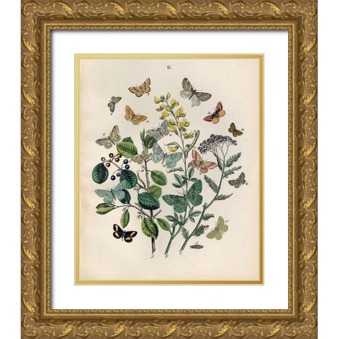 Papillion - Butterflies Gold Ornate Wood Framed Art Print with Double Matting by Art Licensing Studio