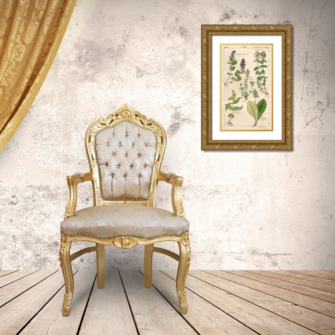 Scrophularineae Gold Ornate Wood Framed Art Print with Double Matting by Art Licensing Studio
