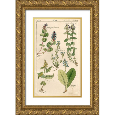 Scrophularineae Gold Ornate Wood Framed Art Print with Double Matting by Art Licensing Studio