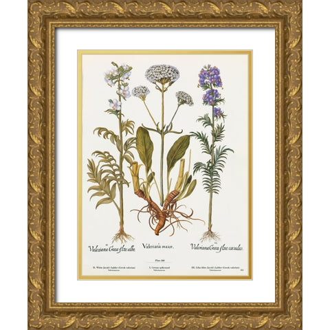 Valeriana Gold Ornate Wood Framed Art Print with Double Matting by Art Licensing Studio