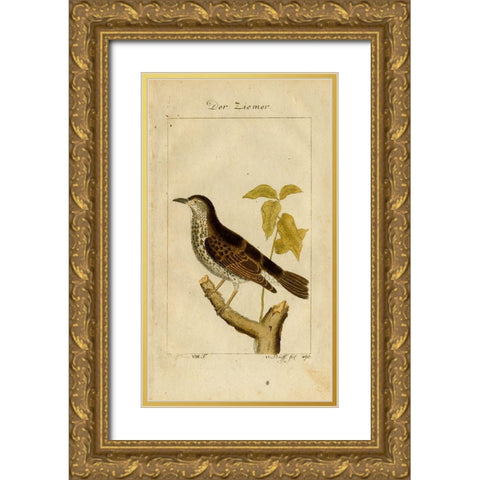 Der Ziemer Gold Ornate Wood Framed Art Print with Double Matting by Art Licensing Studio