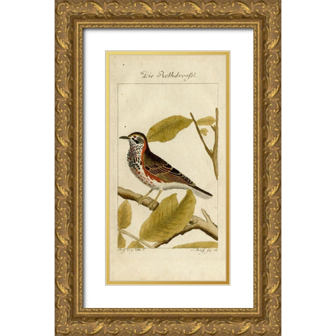 Die Rothdrosfel Gold Ornate Wood Framed Art Print with Double Matting by Art Licensing Studio