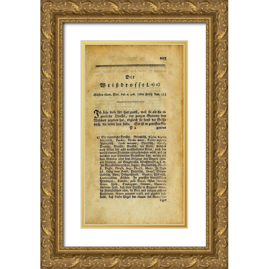 Perspective Image