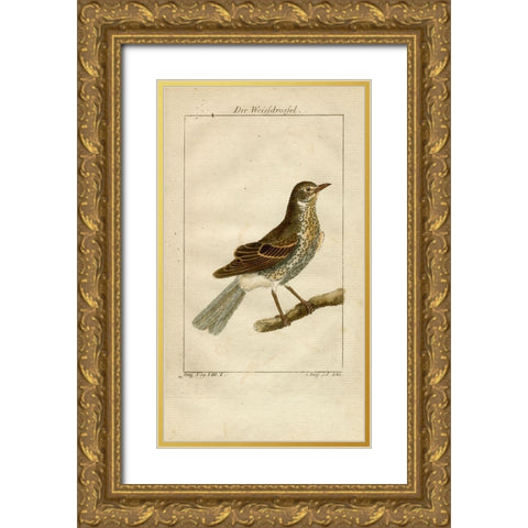 Die Weisfdrosfel Gold Ornate Wood Framed Art Print with Double Matting by Art Licensing Studio