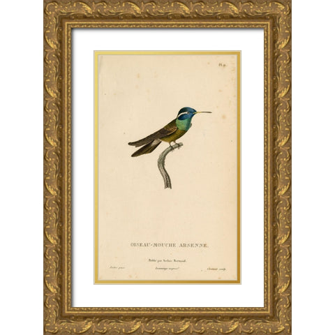 Oiseau-Mouche Arsenne Gold Ornate Wood Framed Art Print with Double Matting by Art Licensing Studio