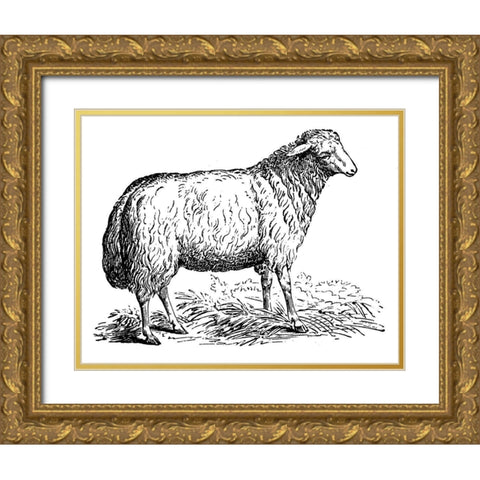 Ewe Gold Ornate Wood Framed Art Print with Double Matting by Art Licensing Studio