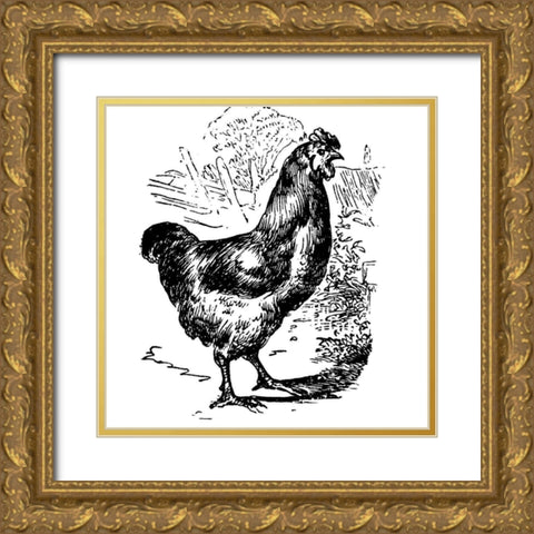 Garden Chicken Gold Ornate Wood Framed Art Print with Double Matting by Art Licensing Studio
