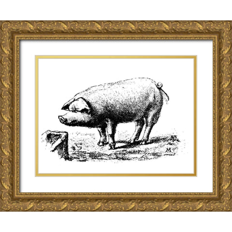 Nice Pig Gold Ornate Wood Framed Art Print with Double Matting by Art Licensing Studio