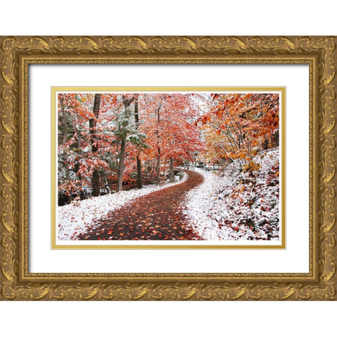 2 Seasons Gold Ornate Wood Framed Art Print with Double Matting by Heine, Ben