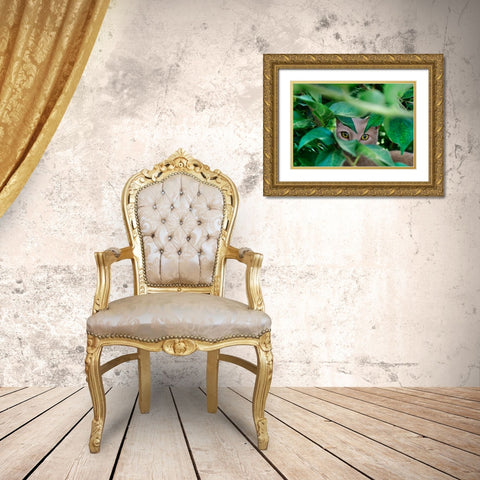 Abandoned Cat - 3 Gold Ornate Wood Framed Art Print with Double Matting by Heine, Ben