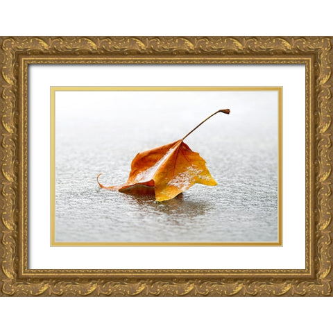 Crisp Gold Ornate Wood Framed Art Print with Double Matting by Heine, Ben