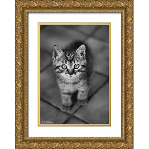 Cute Kitty Gold Ornate Wood Framed Art Print with Double Matting by Heine, Ben