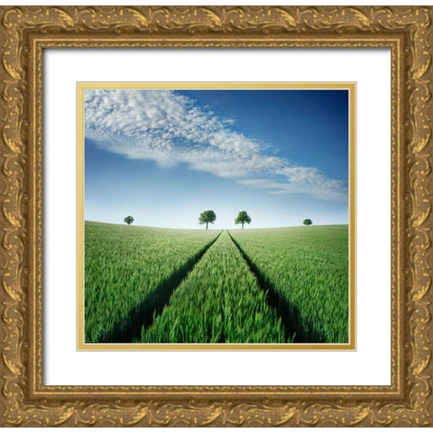 Believe In Your Destiny Gold Ornate Wood Framed Art Print with Double Matting by Heine, Ben