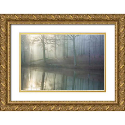 Echo Gold Ornate Wood Framed Art Print with Double Matting by Heine, Ben
