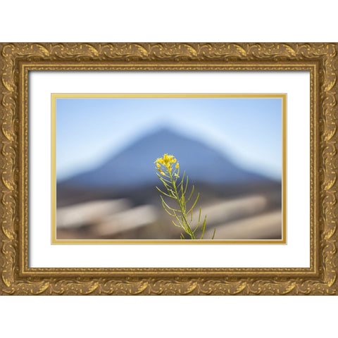 El Teide Gold Ornate Wood Framed Art Print with Double Matting by Heine, Ben