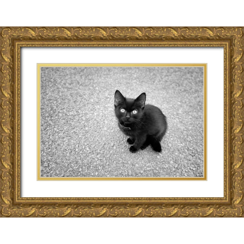Just a Baby Gold Ornate Wood Framed Art Print with Double Matting by Heine, Ben