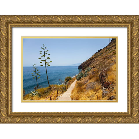 Lanzarote - Tenerife Gold Ornate Wood Framed Art Print with Double Matting by Heine, Ben