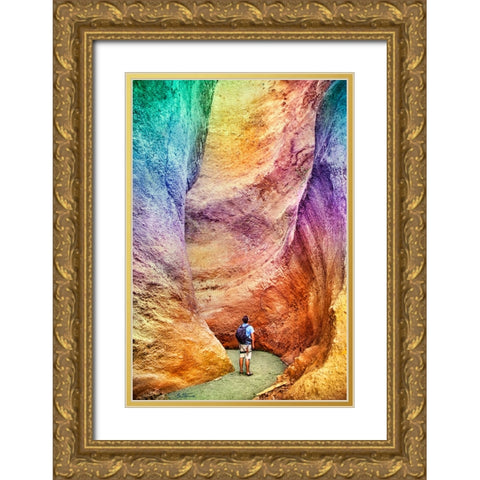 Rainbow Canyon Gold Ornate Wood Framed Art Print with Double Matting by Heine, Ben