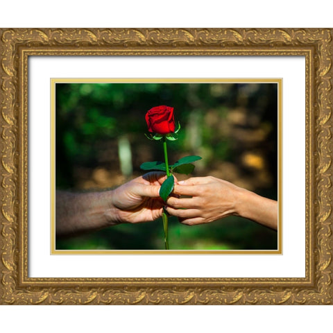 Red Union Gold Ornate Wood Framed Art Print with Double Matting by Heine, Ben