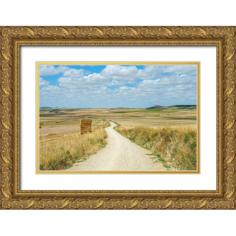 Santiago de Compostela pilgrimage - 165 Gold Ornate Wood Framed Art Print with Double Matting by Heine, Ben