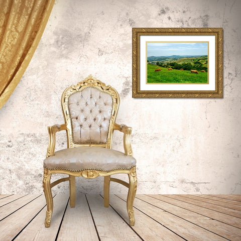 Santiago de Compostela pilgrimage - 237 Gold Ornate Wood Framed Art Print with Double Matting by Heine, Ben