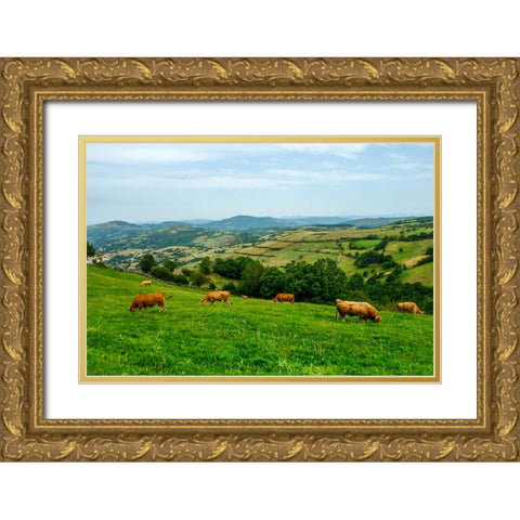 Santiago de Compostela pilgrimage - 237 Gold Ornate Wood Framed Art Print with Double Matting by Heine, Ben