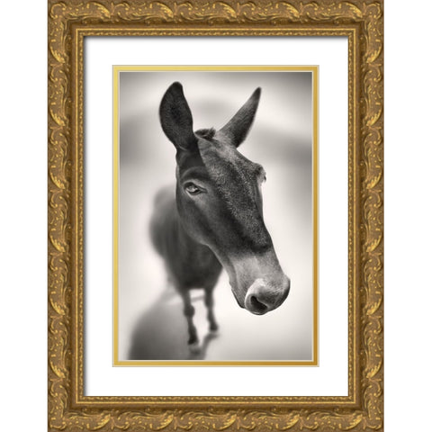 Talking to Me Gold Ornate Wood Framed Art Print with Double Matting by Heine, Ben