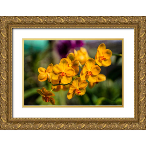 Thailand - 85 Gold Ornate Wood Framed Art Print with Double Matting by Heine, Ben