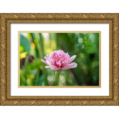 Thailand - 156 Gold Ornate Wood Framed Art Print with Double Matting by Heine, Ben