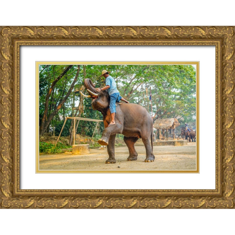 Thailand - 260 Gold Ornate Wood Framed Art Print with Double Matting by Heine, Ben